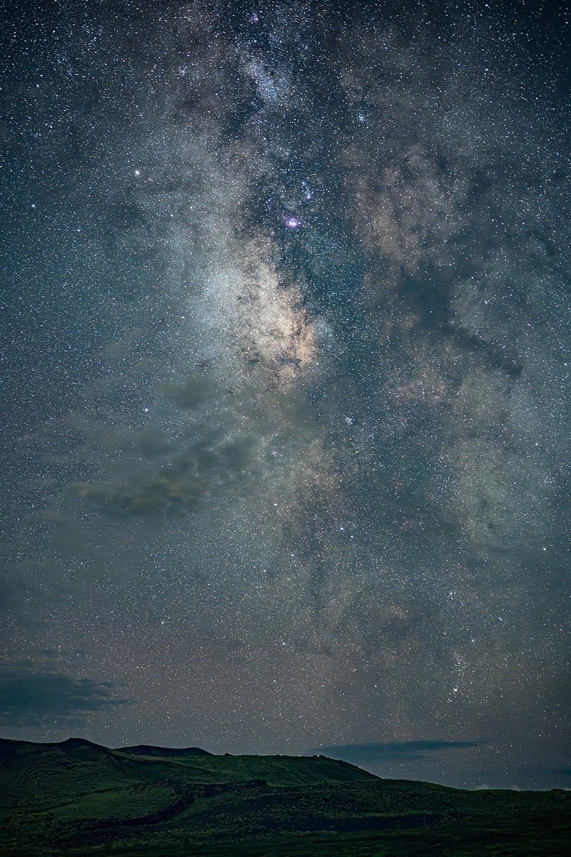 Starlit Gardens