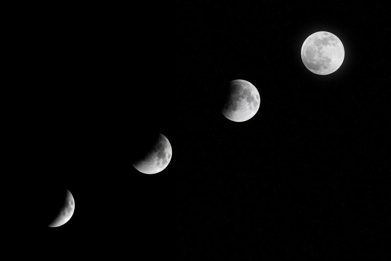 Moonlit Ceremony